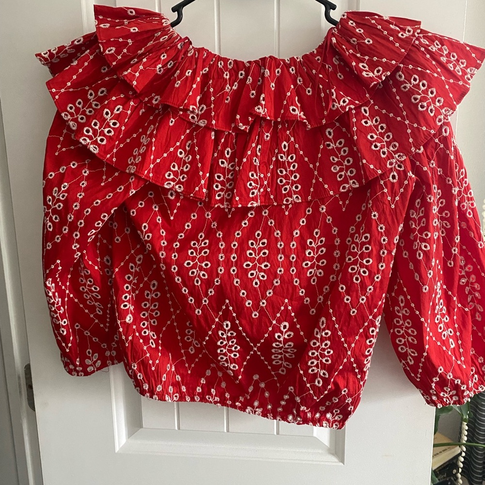 Zara Scarlet Patterned Ruffle Blouse - Picture 3 of 3